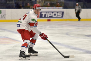 dsc_9785 kopie.jpg